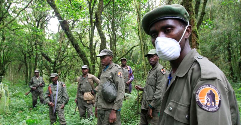 Ecogardes de l'ICCN