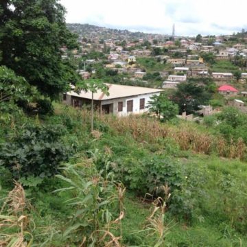 Annonce Matadi 1 Terrain de 2618 m2 en vente à Matadi à 180000 $