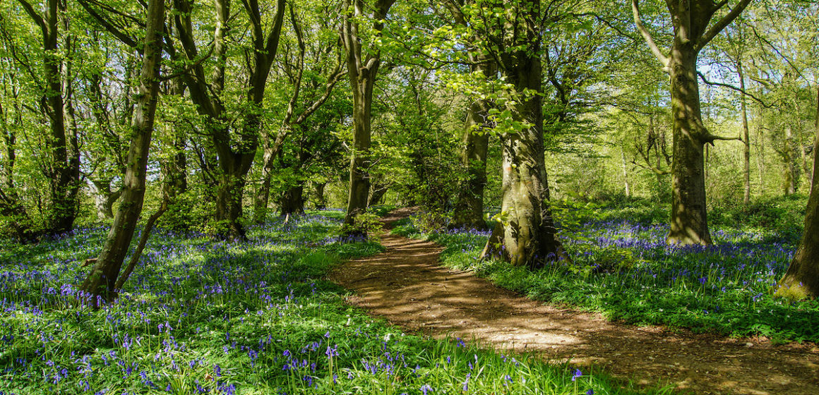 Projet de mise en place d’un Fonds d&rsquo;intervention pour l&rsquo;Environnement examiné au Conseil des ministres