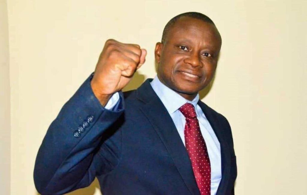 Chérubin Okende, député national