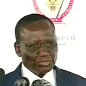 Le gouvernement Ilunga jugé éléphantesque par les congolais