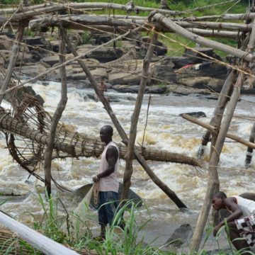 Province de la Tshopo, enfant pauvre de la République