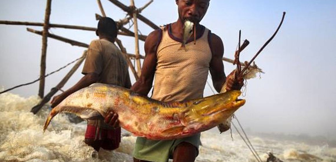 Forum sur la pêche, l’élevage et l’aquaculture, du 11 au 14 décembre