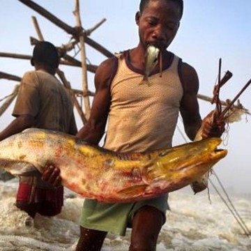 Forum sur la pêche, l’élevage et l’aquaculture, du 11 au 14 décembre