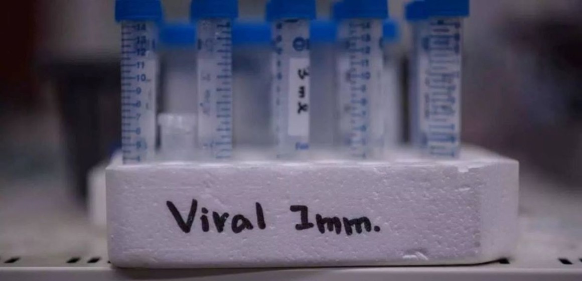 Echantillons tubes vaccins Thomas Luhaka veut renforcer les mesures de prévention du Covid-19 en milieux universitaires