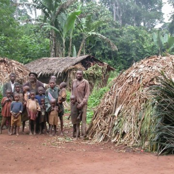 Campement Pygmée