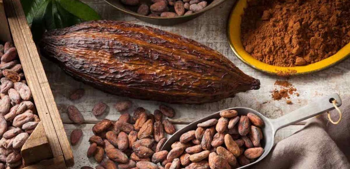 fèves de cacao