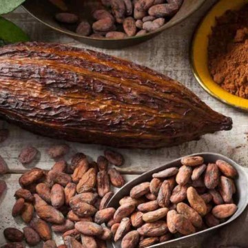 fèves de cacao