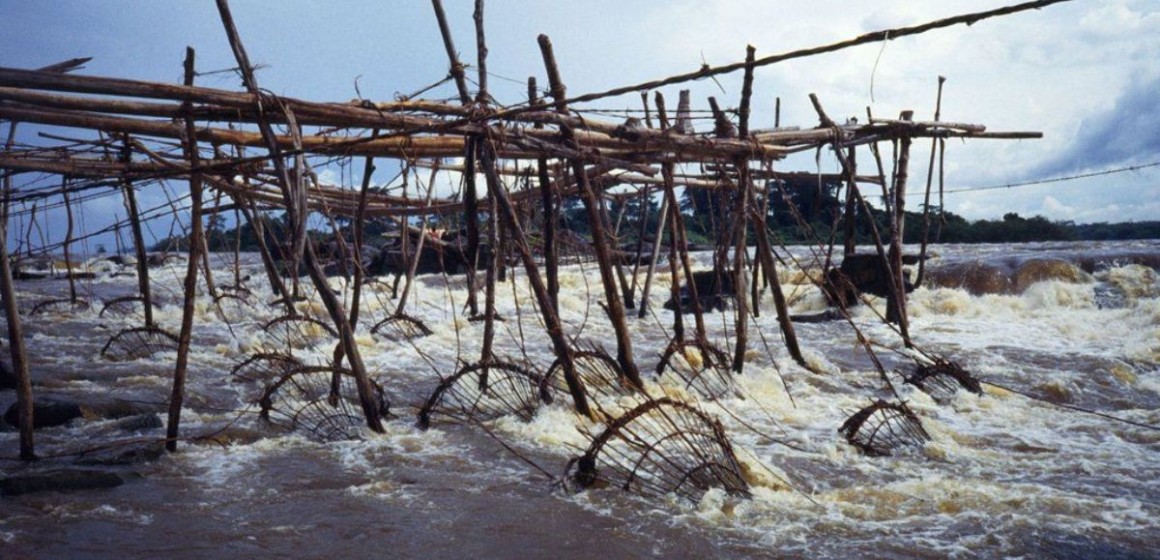 Tshopo : Un comité transitoire pour coordonner la société-civile mis en place