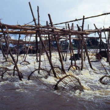 Tshopo : Un comité transitoire pour coordonner la société-civile mis en place