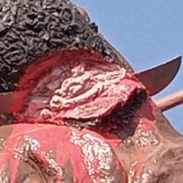 Nord-Kivu: « Le Monument des massacres érigé à Mangina doit interpeller la communauté internationale » (Député Alain Siwako)