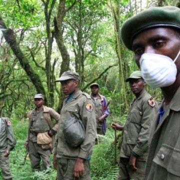 Ecogardes de l'ICCN