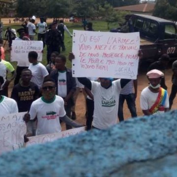 Lucha Beni2 Lucha Beni