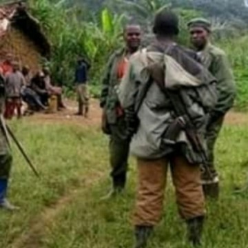 Mai-mai chini Ituri : 8 miliciens Mai-mai Chini Ya Kilima neutralisés par les FARDC à Walu