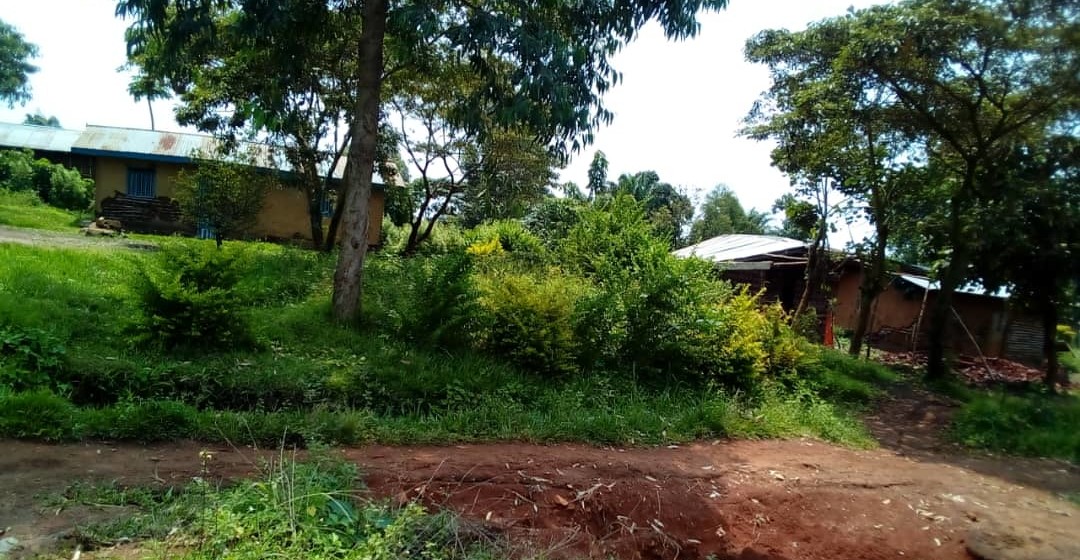 Beni: 5 morts dans une attaque ADF à Kinyambaore