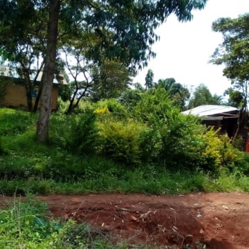 Beni: 5 morts dans une attaque ADF à Kinyambaore