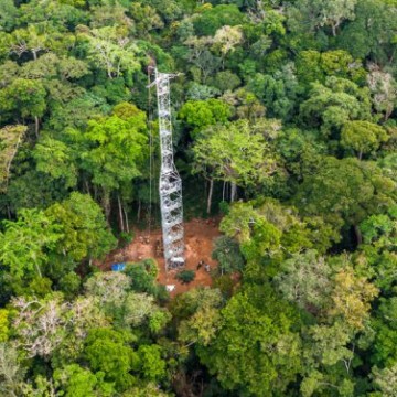 La forêt de Yangambi désormais dotée d’une tour à flux de carbone
