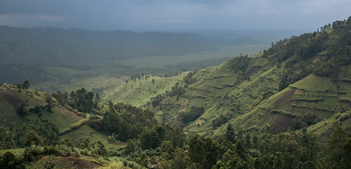 Beni : L&rsquo;armée découvre un camp d&rsquo;entraînement des ADF dans le parc des Virunga