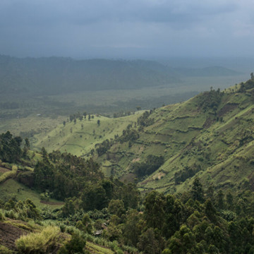 Beni : L&rsquo;armée découvre un camp d&rsquo;entraînement des ADF dans le parc des Virunga