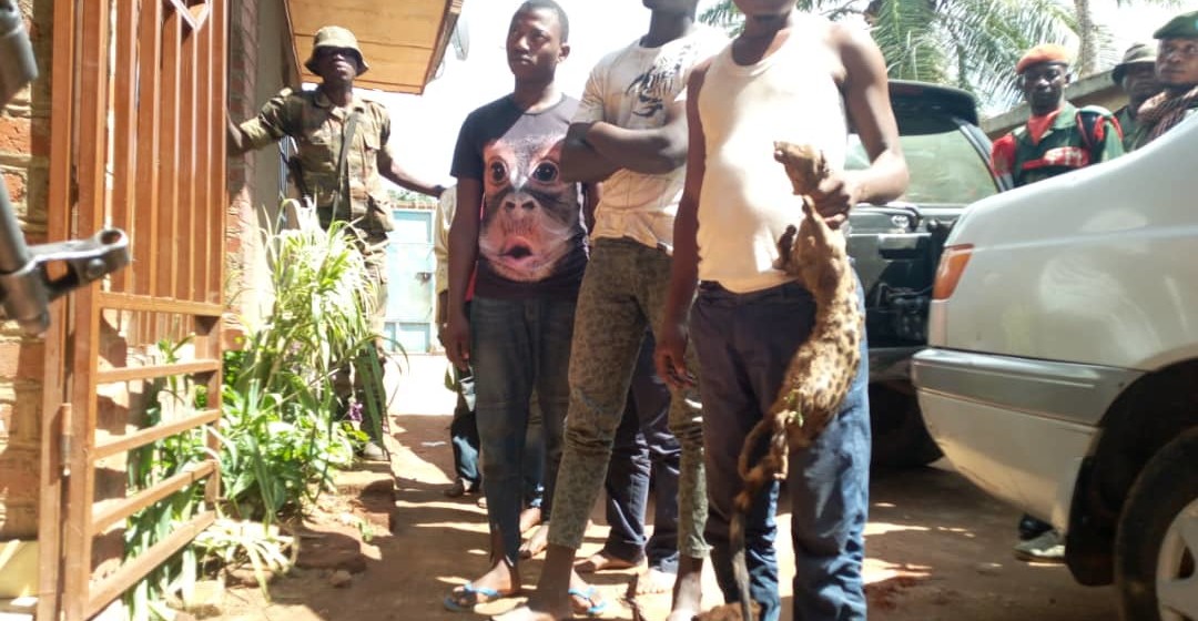 Mai-mai-arrêté-à-mavivi-beni2 Mai-mai arrêtés à Mavivi