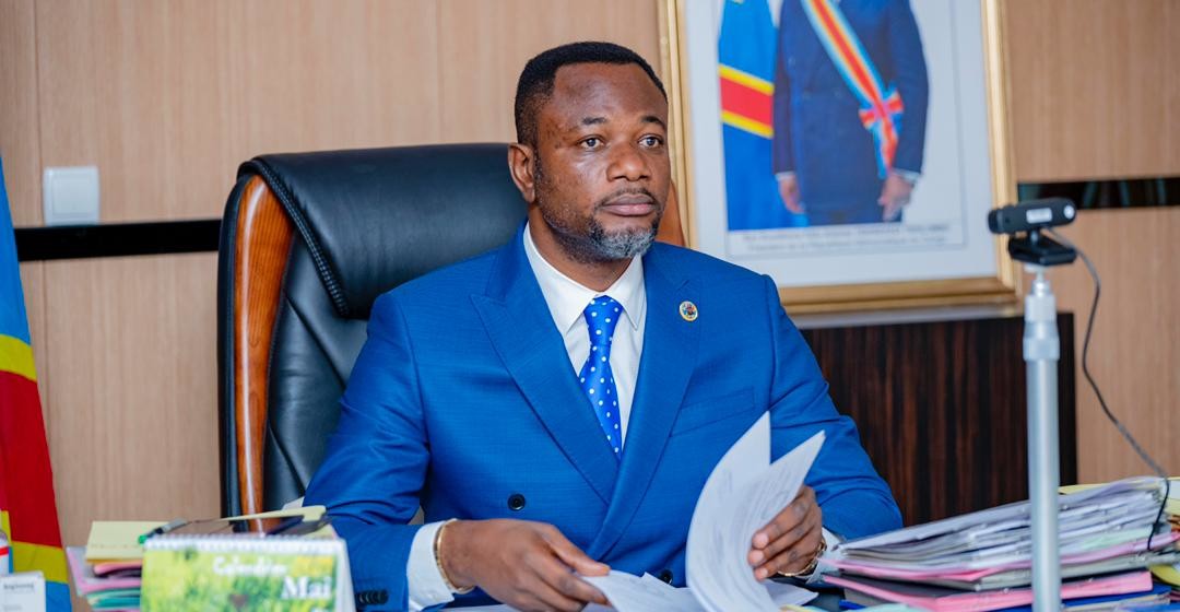 Tony Mwaba, Ministre EPST