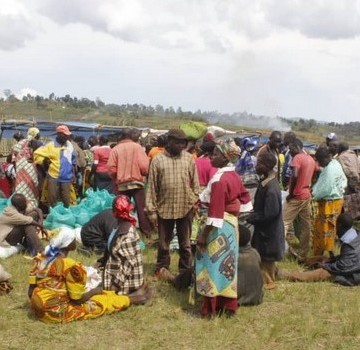 Déplacés de Ruwenzori