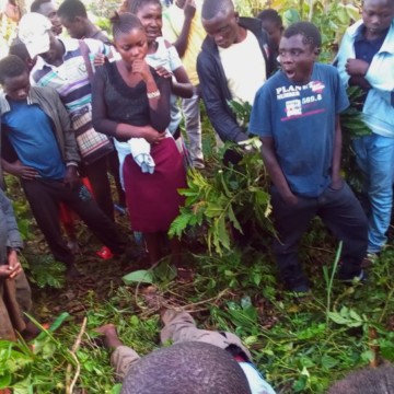 Mort à Ruwenzori