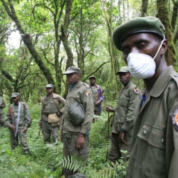 Eco-garde du parc national des Virunga
