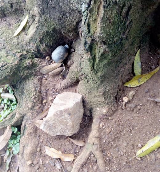 Grenade sous un manguier à Beni