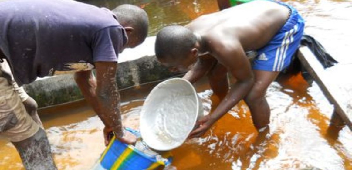 orpailleurs Orpailleurs à Mambasa