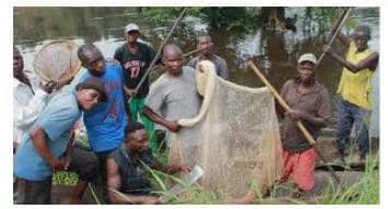 Nord-Kivu : 32 pêcheurs congolais et 8 pirogues ont été libérés par la marine Ougandaise contre 1600 $