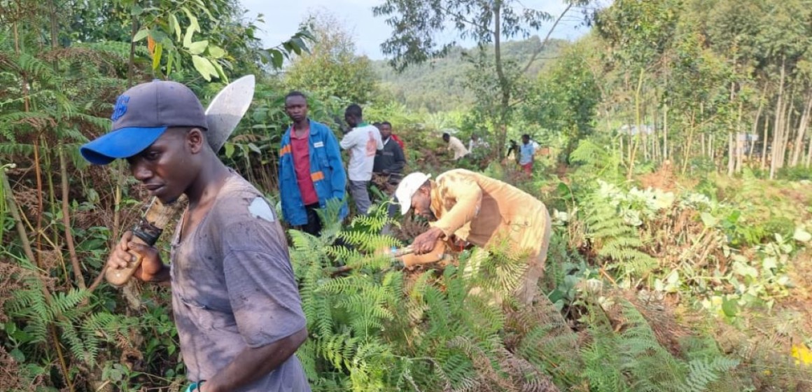 Démineurs au Ruwenzori