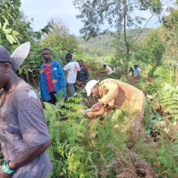 Démineurs au Ruwenzori