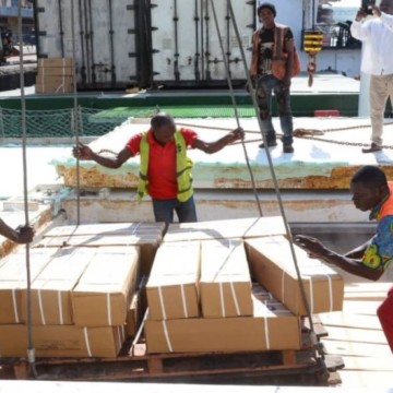 Cartons poissons surgélés