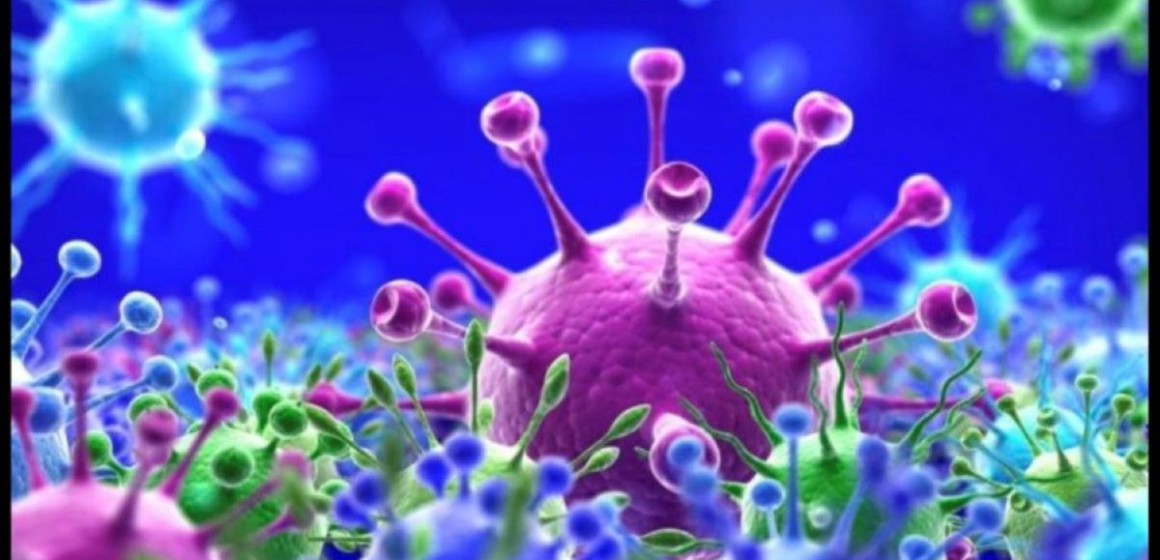 Omicron, nouveau variant du Covid-19