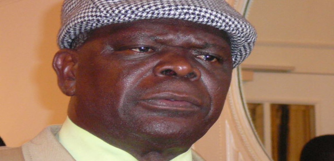Bruno Mavungu, UDPS
