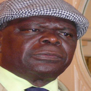 Bruno Mavungu, UDPS