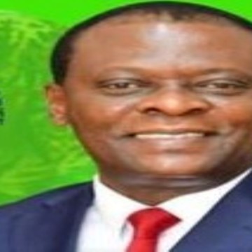 kapaya (2) Delphin Kapaya