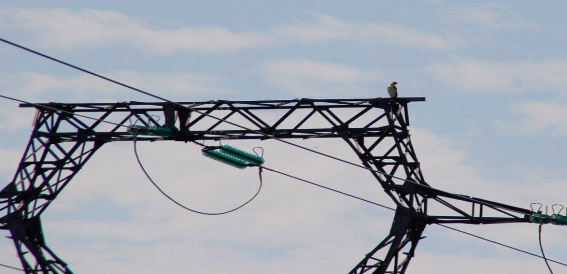 pylone-électrique Pylône électrique