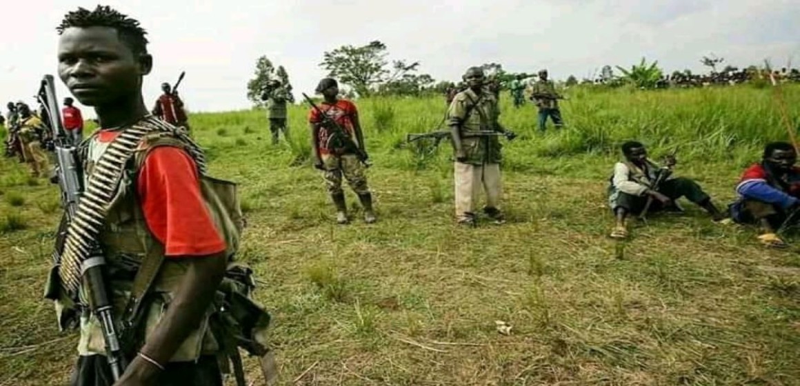 rebelles-nord-kivu Ituri : deux civils meurent dans une nouvelle incursion des rebelles ADF à Lolwa