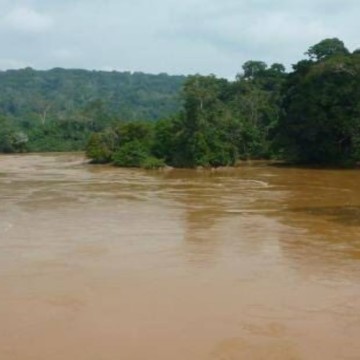 Ituri : Une dizaine de corps de civils tués par les ADF jetés dans la rivière Ituri