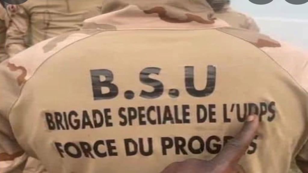 Eléments de la Force du progrès de l'UDPS