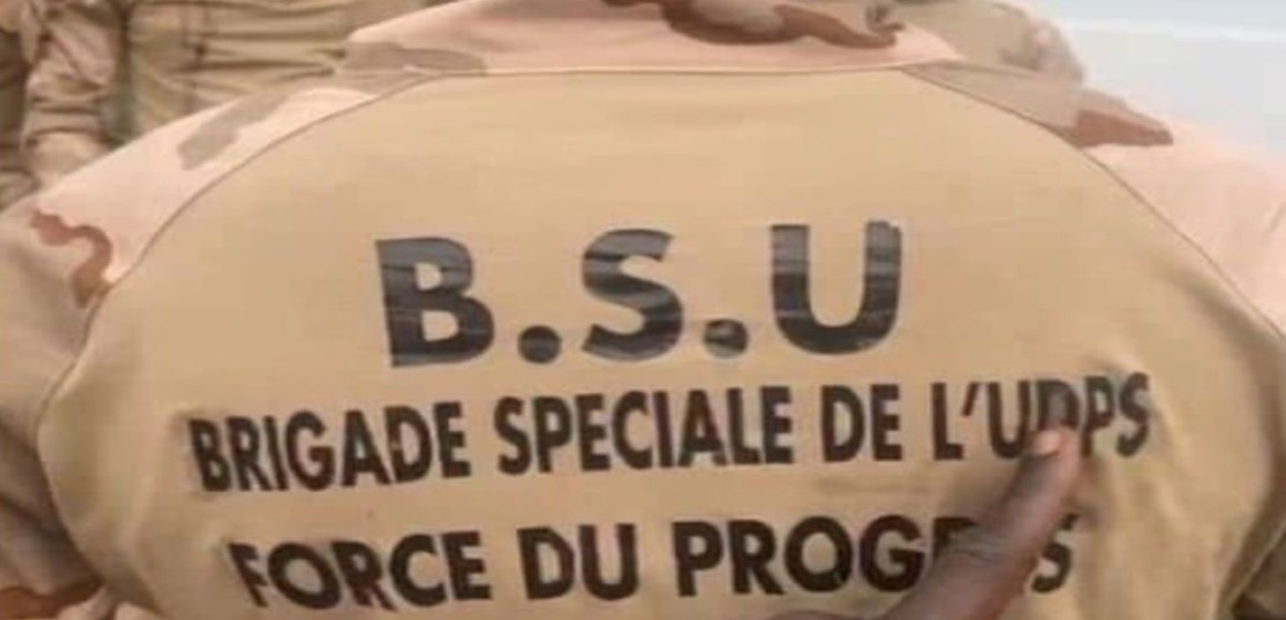 brigade-spécial-udps (3) Eléments de la Force du progrès de l'UDPS