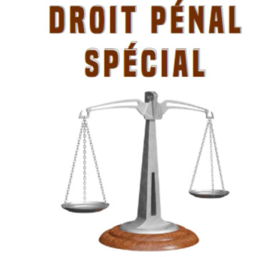 Droit pénal spécial, de Boukary Laouali