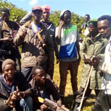 mai-mai-twirwaneho Mai-mai groupe armé