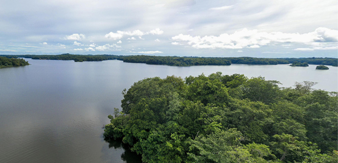 Bassin du Congo