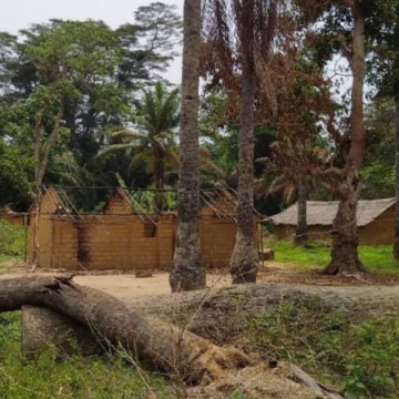 village-kinsele Village Kinsele Territoire de Kwamouth