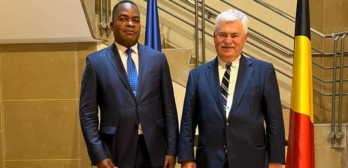 Dieudonné Kamuleta à la cour constitutionnelle de Belgique