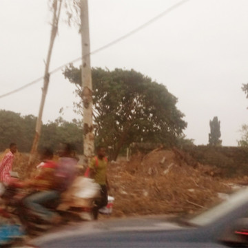 réserve-ecologigue-binza-ozone-rasee Réserve écologique de Binza Ozone