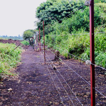 cloture-electrique-parcs-des-virunga Clôture électrique Parc national des Virunga